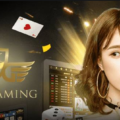 DG百家樂,DG保險百家樂,保險百家樂,DG真人,Dream Gaming