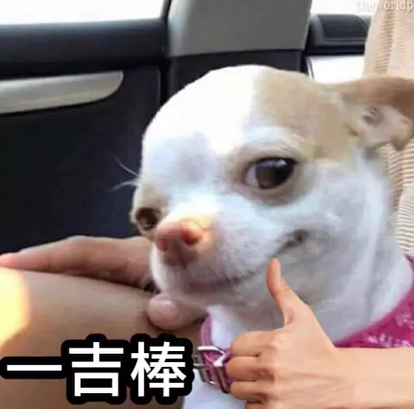 這些DG百家樂作弊方法真的一吉棒！